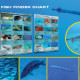 Submarine Safaris Tenerife