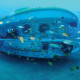 Submarine Safaris Tenerife