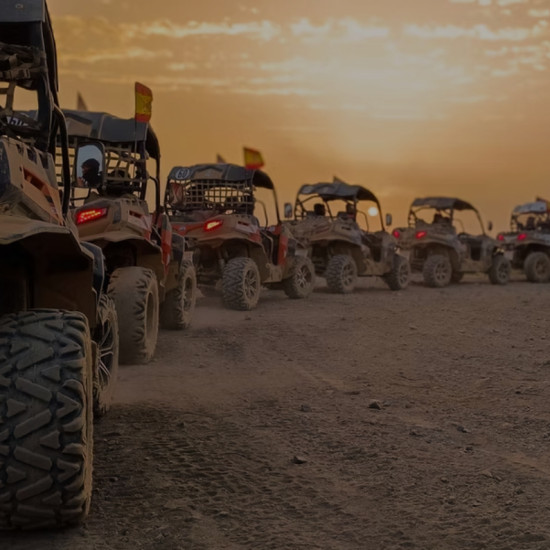 Buggy Tour Buggy Tour