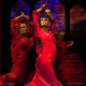 Teatro Flamenco Madrid "Emociones" Teatro Flamenco Madrid "Emociones"