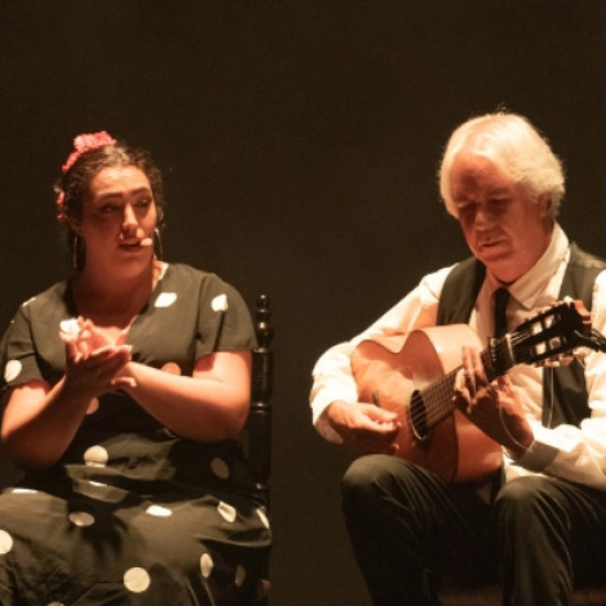 Teatro Flamenco Sevilla "Pasión" Teatro Flamenco Sevilla "Pasión"