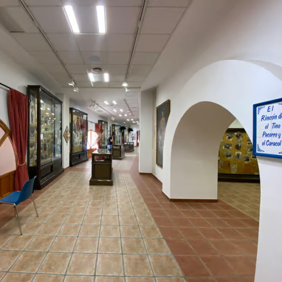 Alicante: Visita con audioguía Plaza de toros + Museo