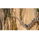 Caminito del Rey Caminito del Rey