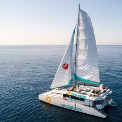 Tour Catamarán+baño Málaga Tour Catamarán+baño Málaga