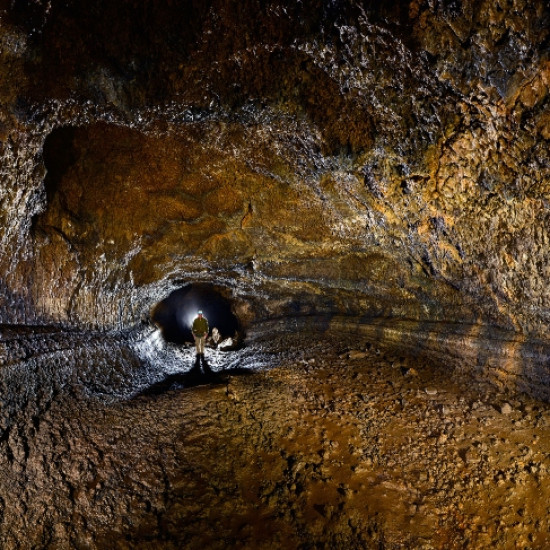 Cueva del Viento Cueva del Viento