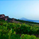 Taller de mojos y visita a la bodega. Taller de mojos y visita a la bodega.