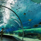Oceanario de Lisboa Oceanario de Lisboa
