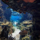 Oceanario de Lisboa Oceanario de Lisboa