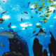 Oceanario de Lisboa Oceanario de Lisboa
