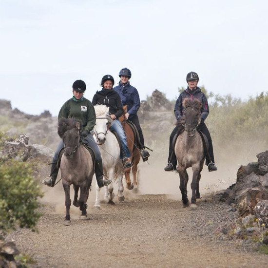Paseo a caballo inolvidable en Tenerife. Paseo a caballo inolvidable en Tenerife.