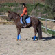 Paseo a caballo inolvidable en Tenerife. Paseo a caballo inolvidable en Tenerife.