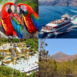 Paquete Tenerife Must Do para familias