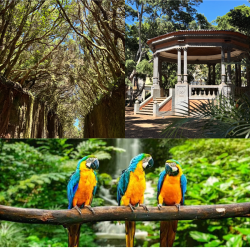 Naturaleza y aventura en el norte de Tenerife