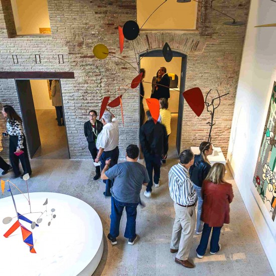 Centro de Arte Hortensia Herrero
