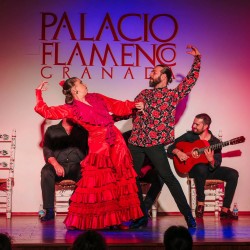 Palacio Flamenco Granada