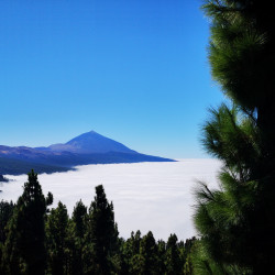 Teleférico del Teide & Subida al Pico