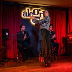 Flamenco Alegría Málaga Flamenco Alegría Málaga