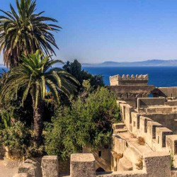 Excursión a Tánger desde Málaga