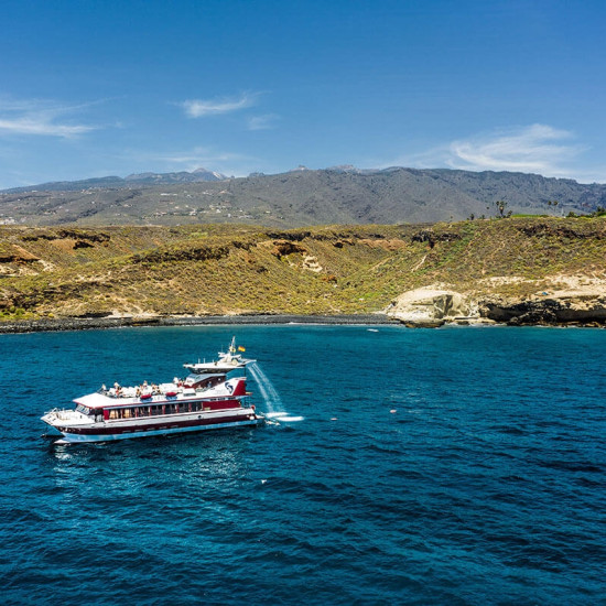 Excursiones catamarán Royal Delfin