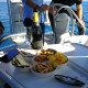 Excursión Privada en Velero