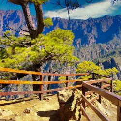 Excursión a La Palma desde Tenerife. Excursión a La Palma desde Tenerife.