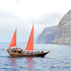 Excursión en barco Shogun
